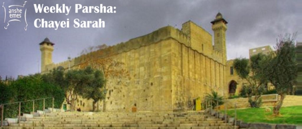 Weekly Parsha: Chayei Sarah