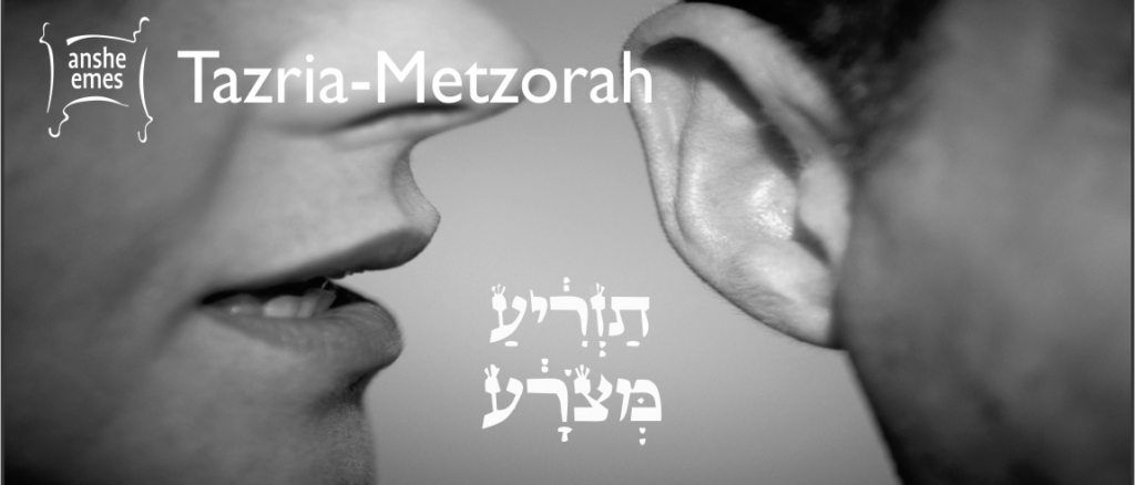 Weekly Parsha: Tazria – Metzora
