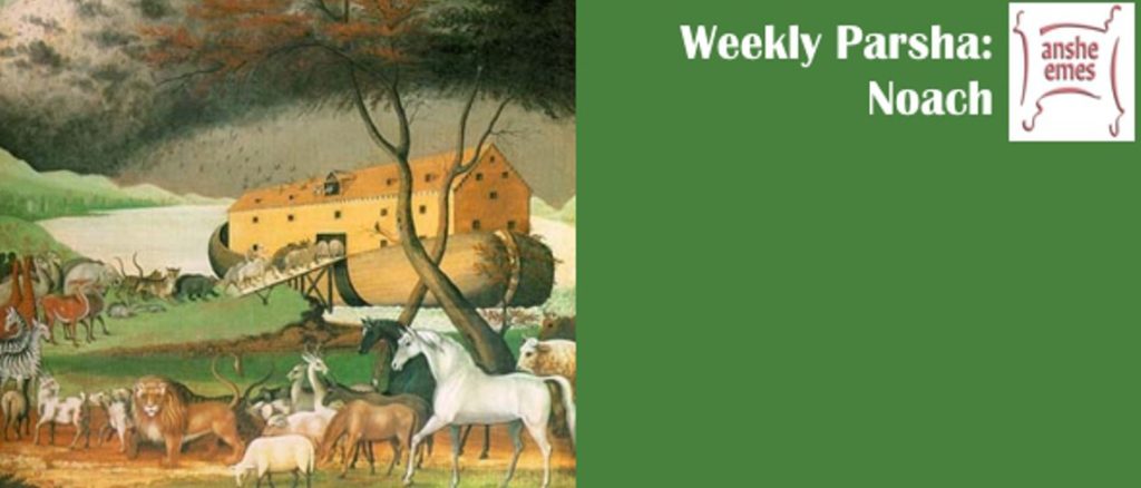 Weekly Parsha: Noach