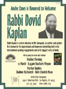 ae150314-Rabbi-Dovid-Kaplan